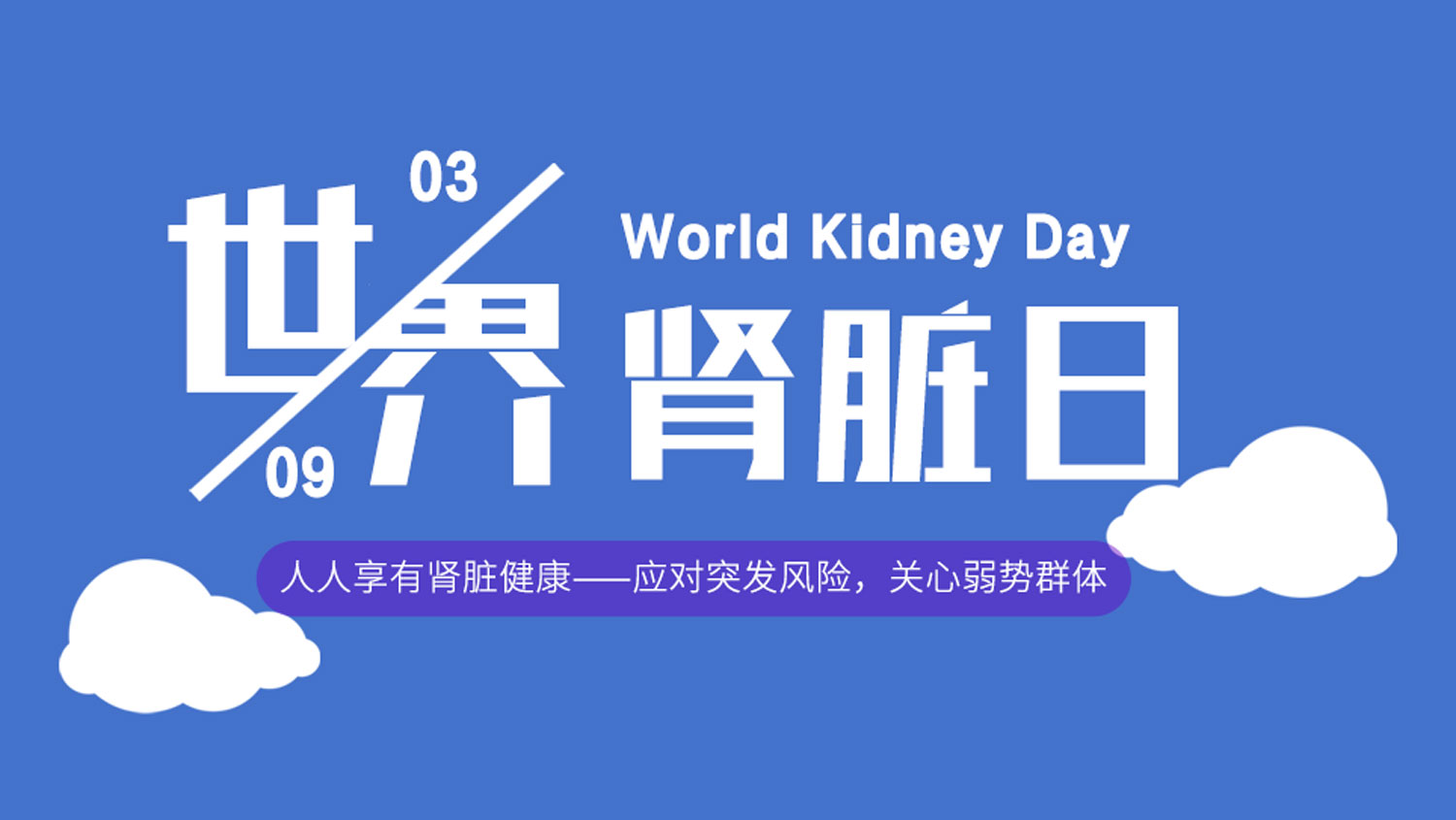 世界腎臟日丨“人人享有腎臟健康”，syva全力守護用藥安全